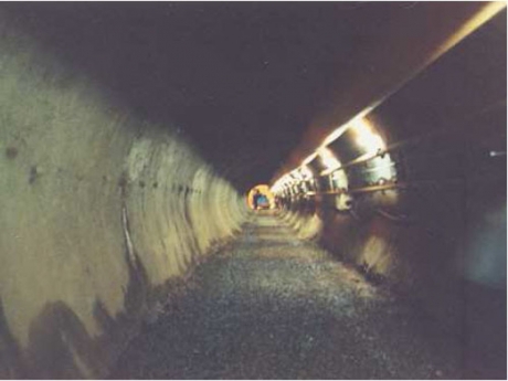 Emissário do Rio Pinheiros